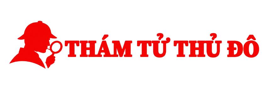Thám Tử Thủ Đô